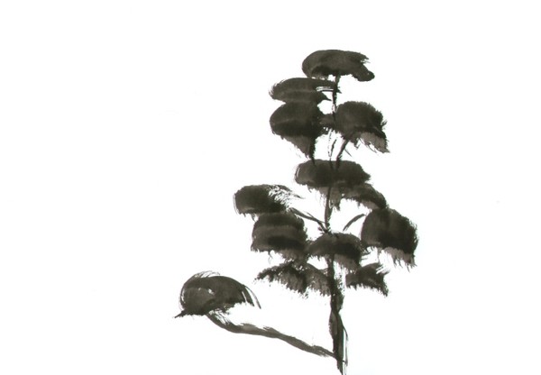 Japanese Gardens 26