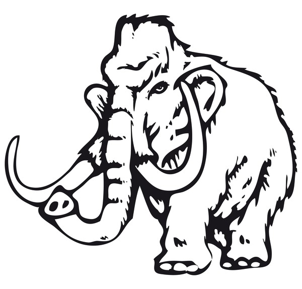 Logo 12