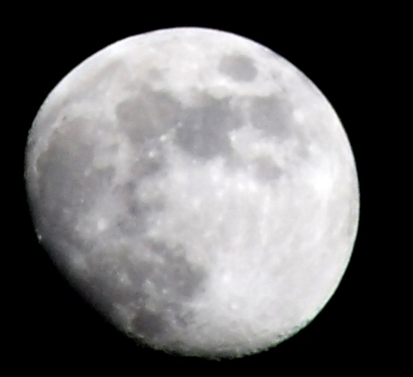 Luna