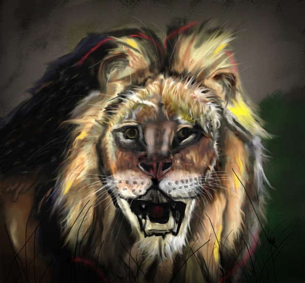 Lion Heart
