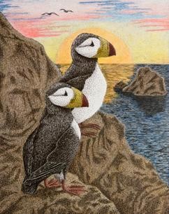 Puffins