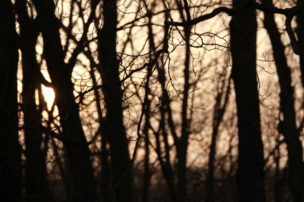20120302 11