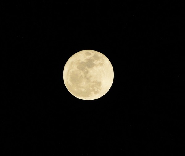 Full Moon~Super Moon
