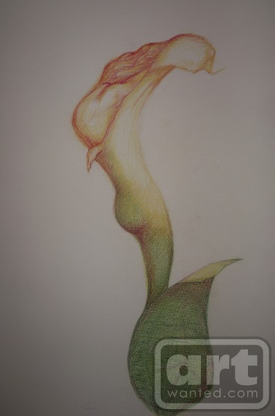 Lilly