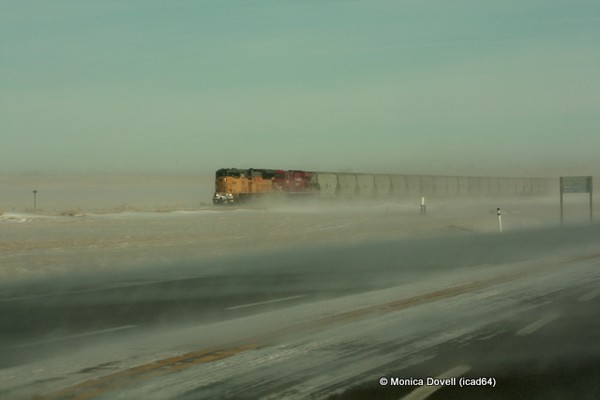 Out of the Mist