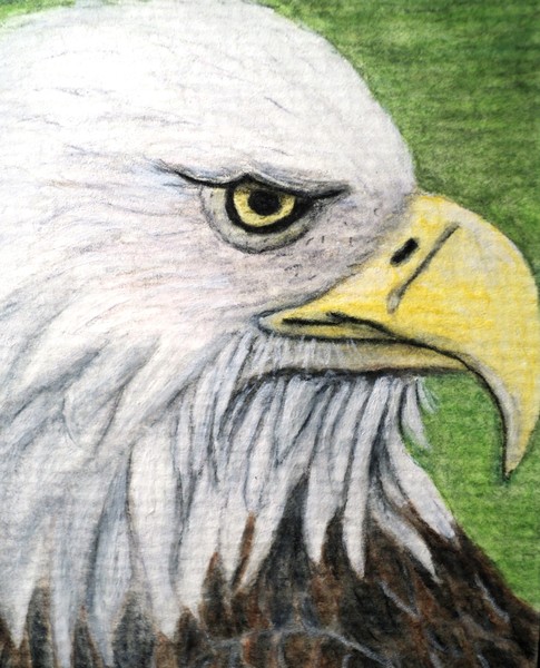 Eagle
