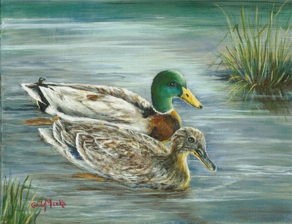 Mallards