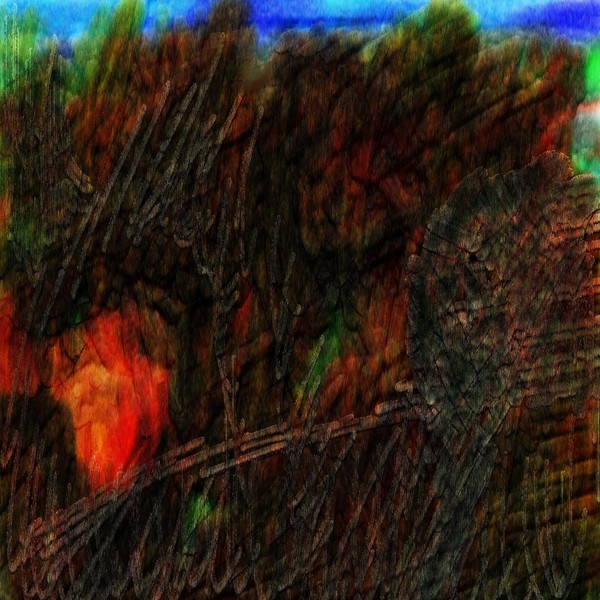 Shapeshifters