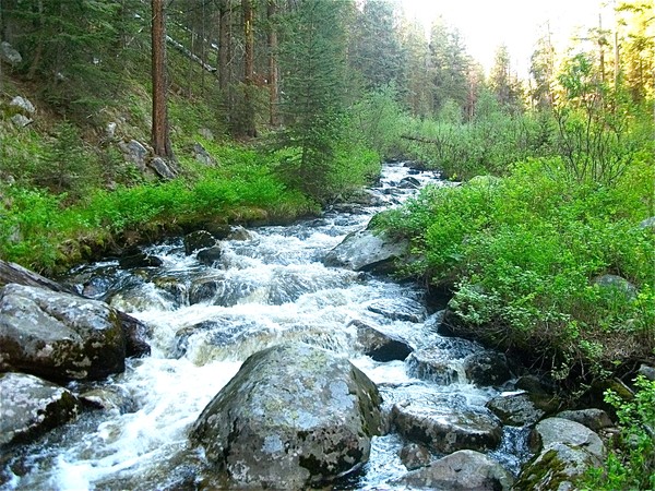 White Waters