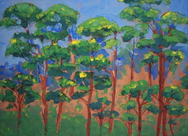 Rainforest