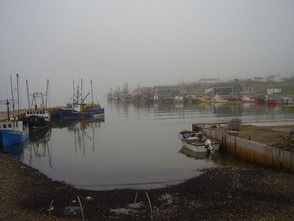 Misty Morning