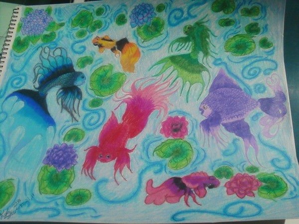 Looking into The Pond