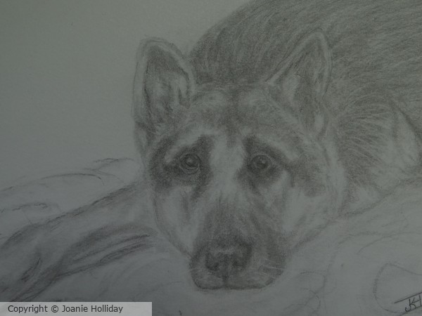 I NEED A NAP- PENCIL