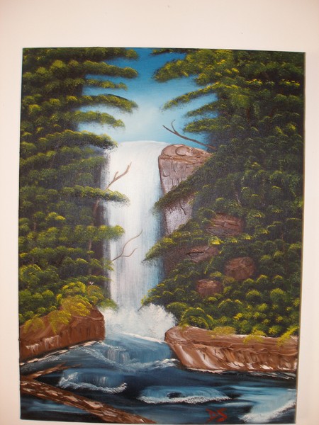 the falls