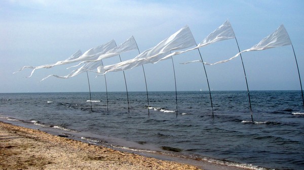 Peace flags