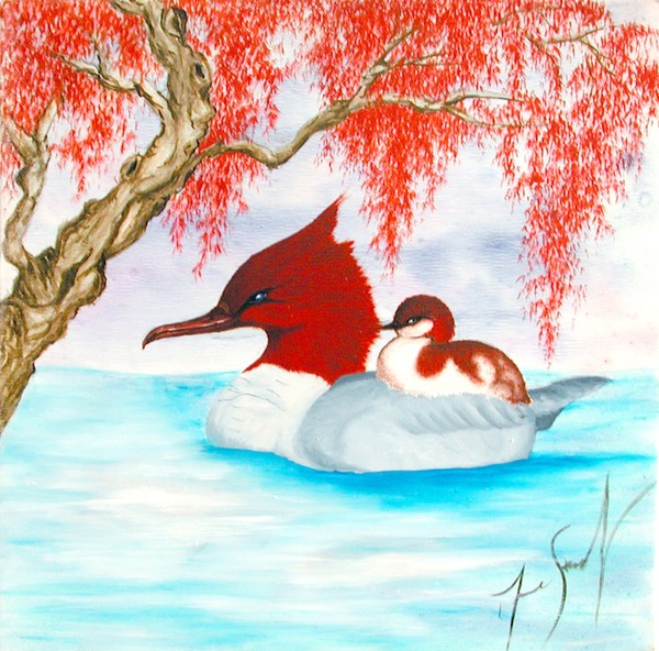 canards