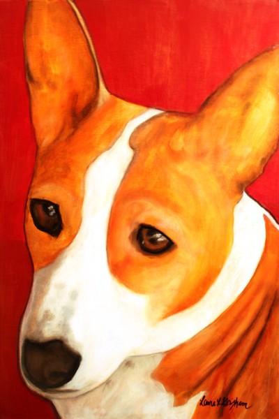 African Basenji - Kia