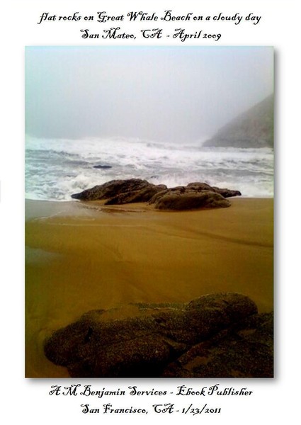 Flat Rocks on the beach on a foggy day