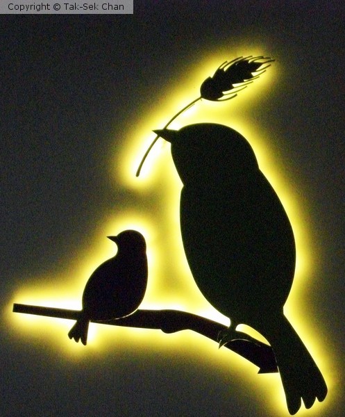 Decoration