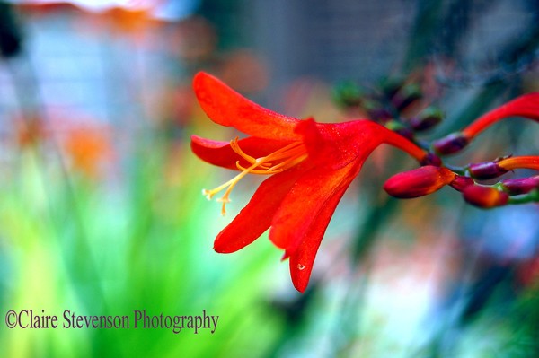 20110822 93