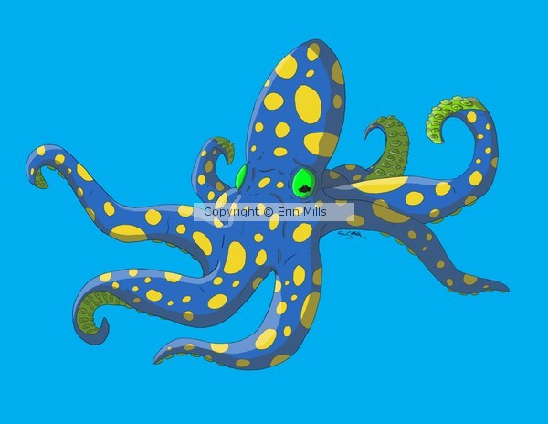 Octopus (Color)
