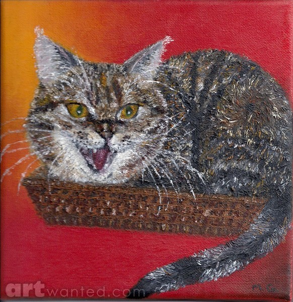 La gata