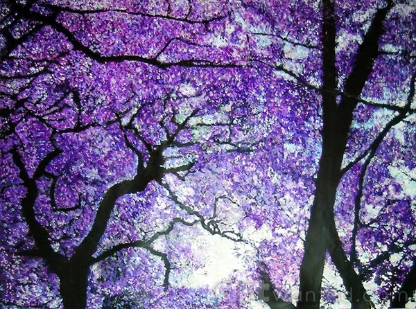 Jacarandas by the river