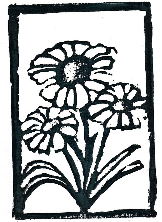 zinias
