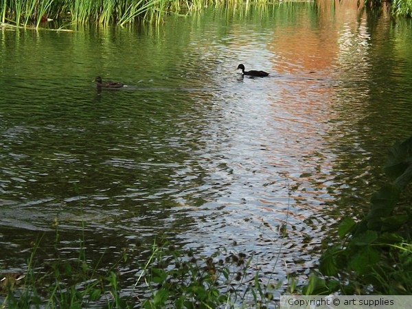 Ripples.on.the.River