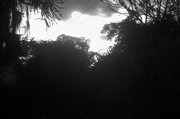 DSC 0187