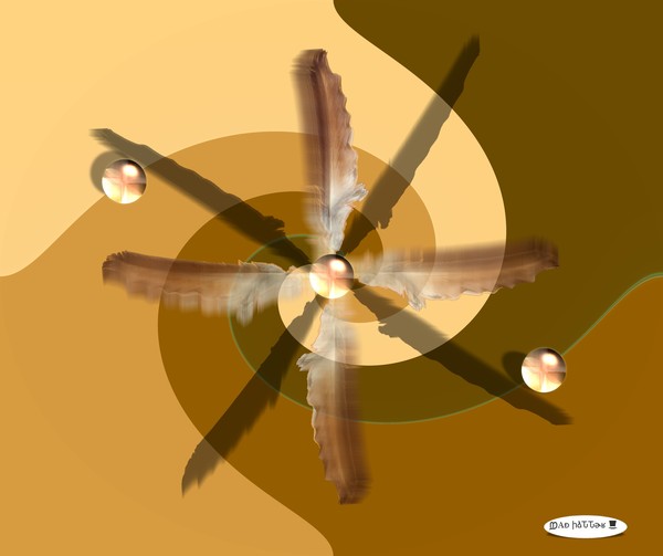 Four Winds Blow to Center