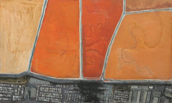 Colour fields #1