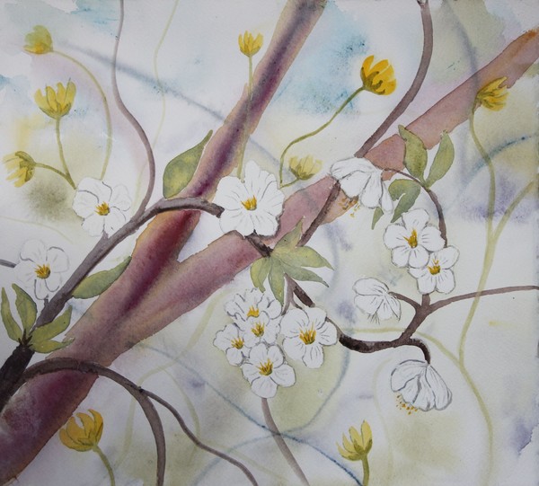 Dreaming of spring