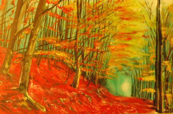 Light in the Forest