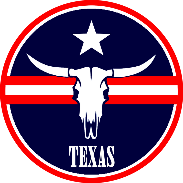 Texans Logo