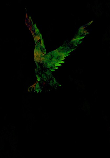 The Raven