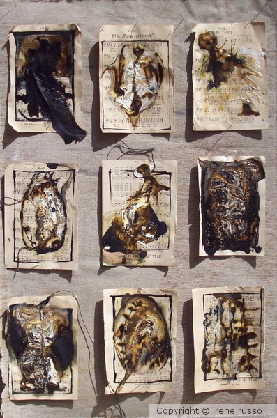 butterflies_cartoline di viaggio_polonia
