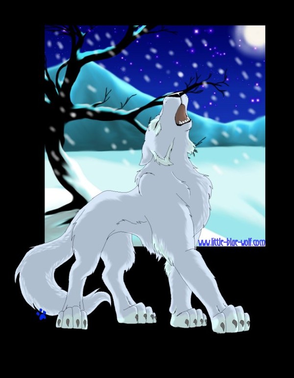 Purple wolf
