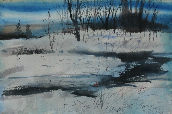 Snowy Marsh
