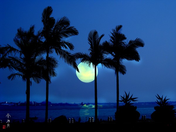 The Southern Moon