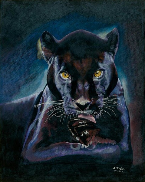 Panther