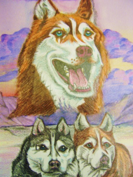 huskies commissioned piece