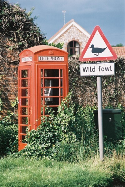 Wild Fowl,  Eastern  England