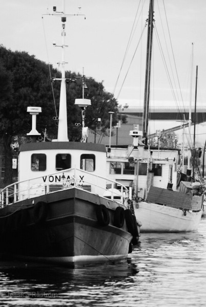 Old fisherman's tale