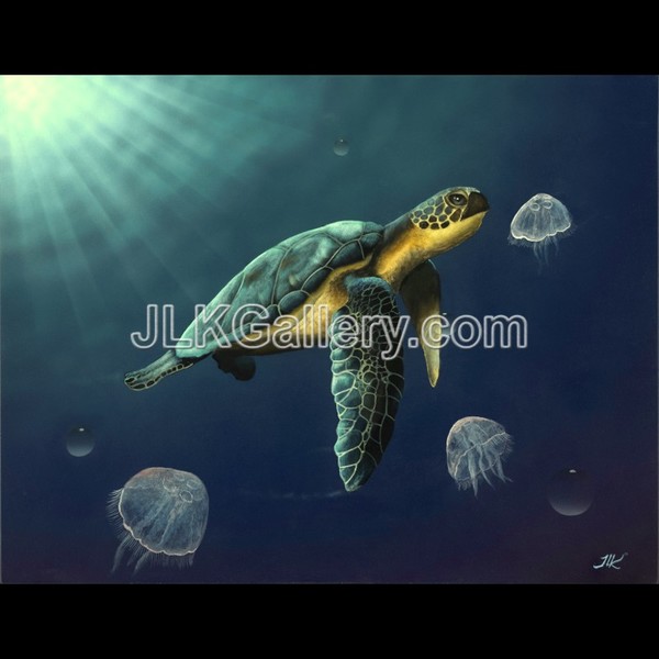 Turtle Delight