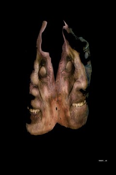 Two Faced