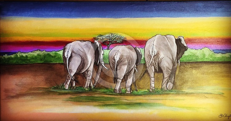 African Sunset