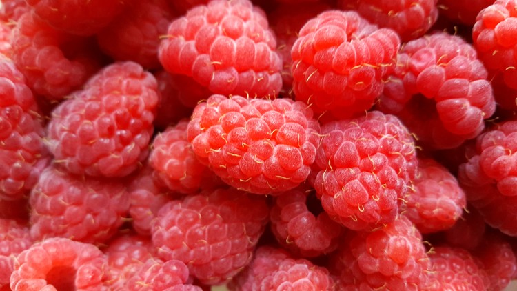 Raspberries