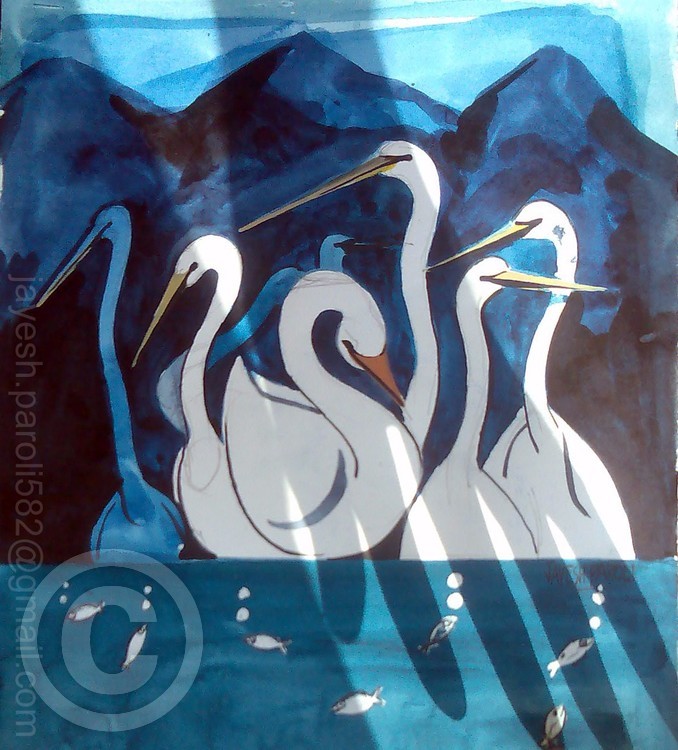 white birds