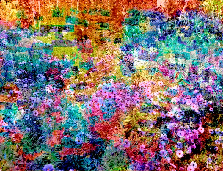 Rainbow of flowers